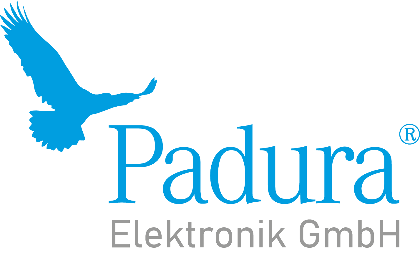 Logo Padura